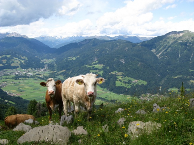 K&ouml;tschach-Mauthen im Sommer