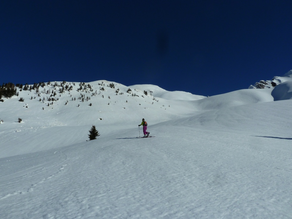 Polinik u Elferspitz