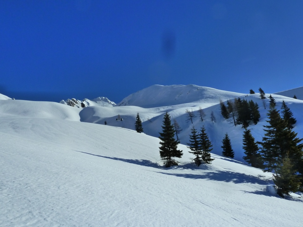 Polinik u Elferspitz