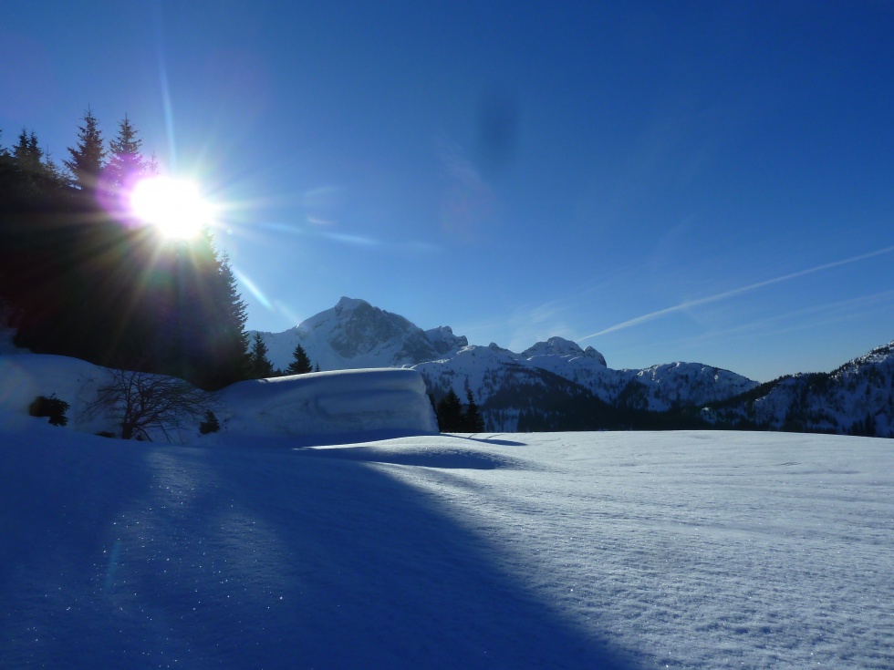 Polinik u Elferspitz