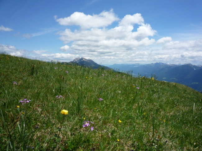 K&ouml;tschach-Mauthen im Sommer
