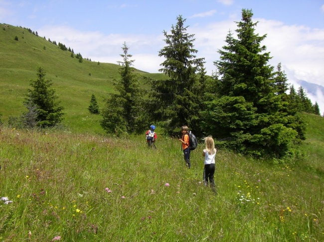 K&ouml;tschach-Mauthen im Sommer